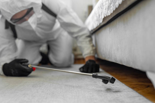 Professional Pest Control technician working in McLean County County, KY
